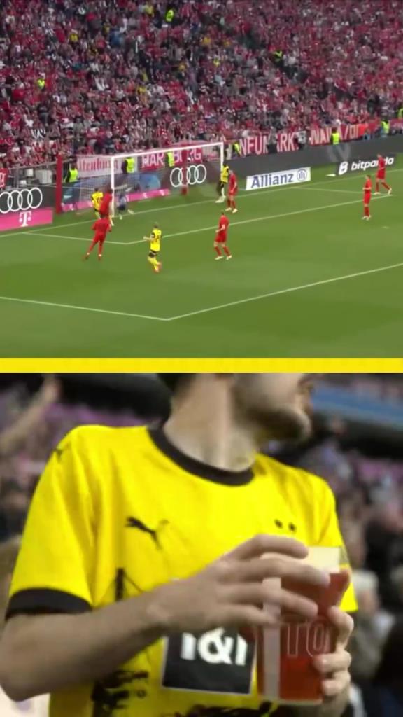 勇者無(wú)懼！這是真多特球迷！在拜仁球迷區(qū)一個(gè)人肆意慶祝！